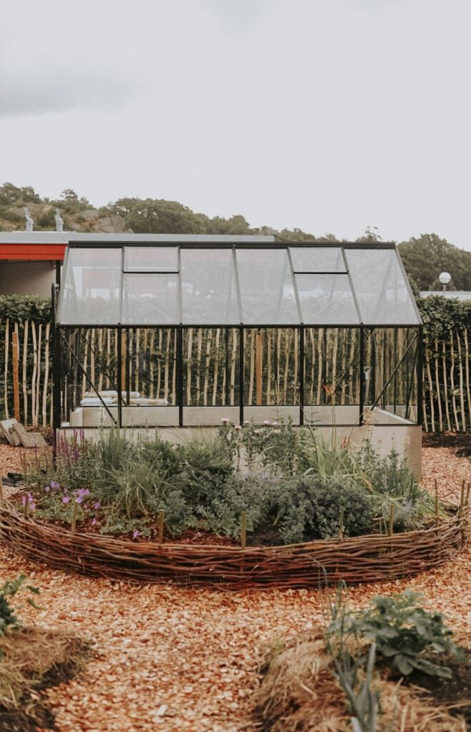 Piet oudulf plantering växthus