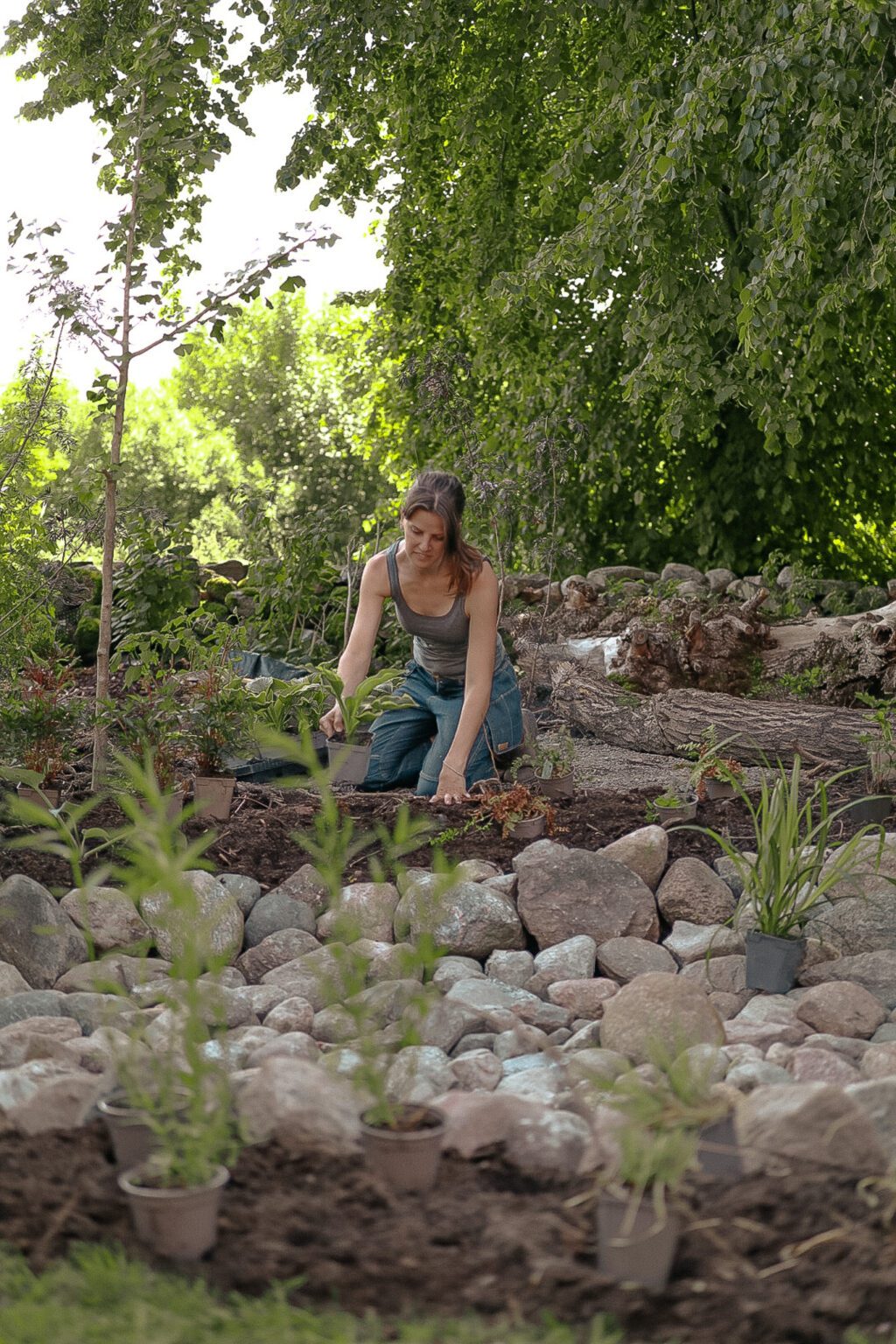 Malou planterar på stenkulle